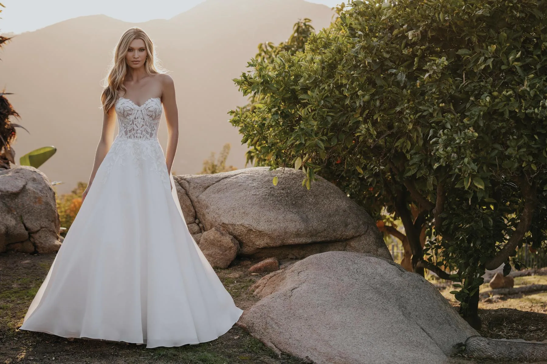 Allure Bridals Dress A1164