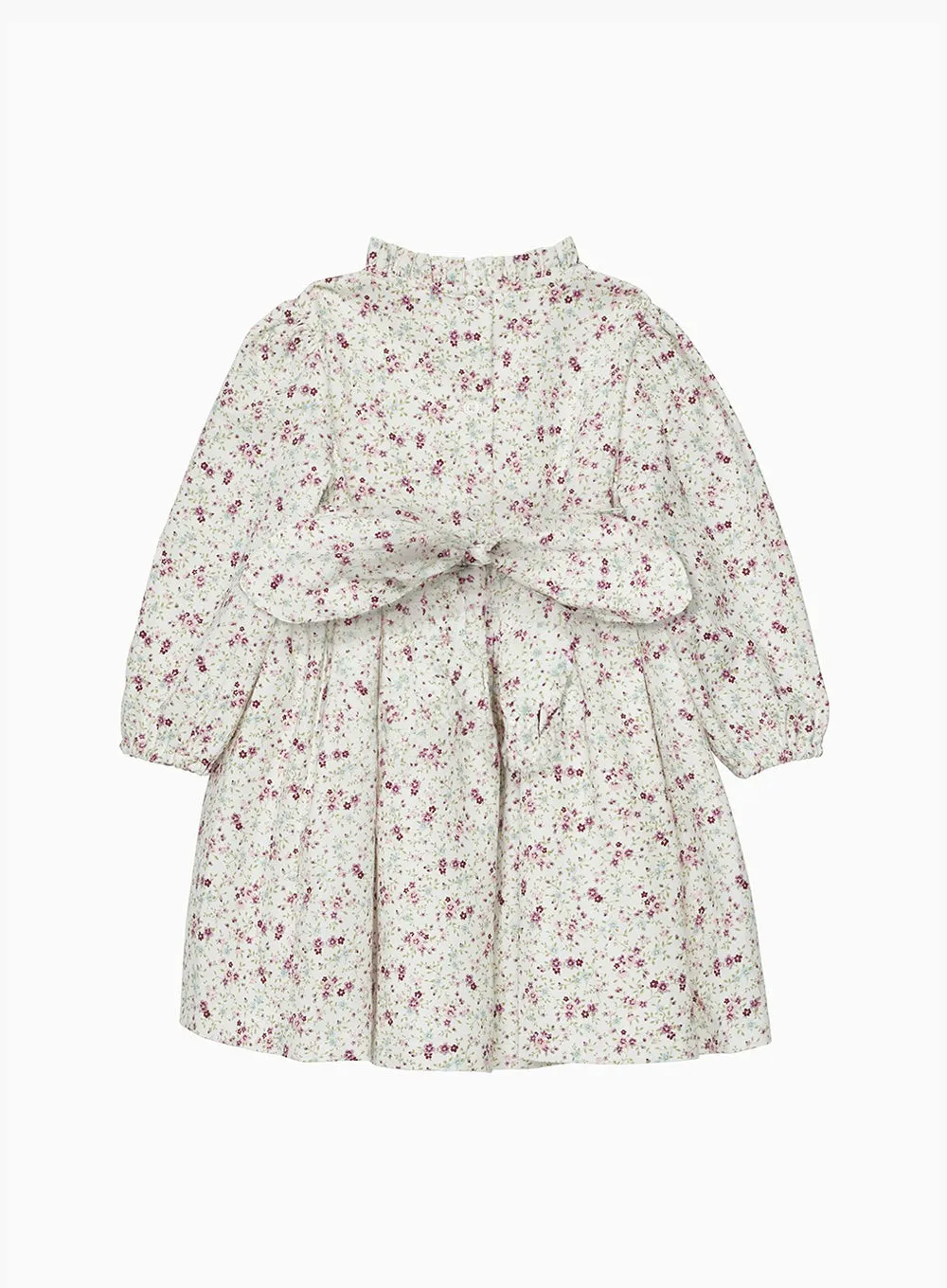 Baby Edie Floral Frill Collar Dress