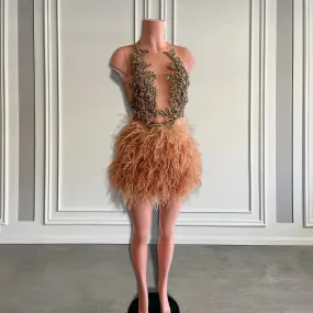 Brown Feather Dress 2024