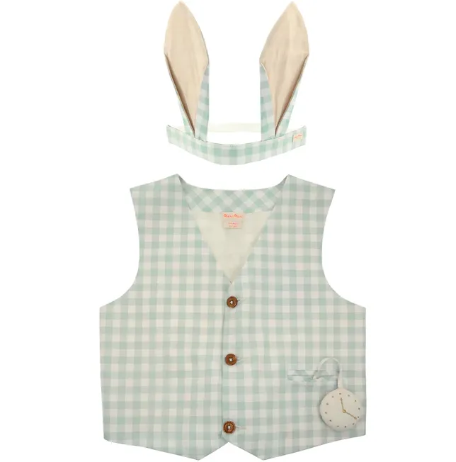 Dress Up Kit - Gingham Bunny