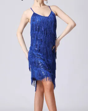 Sequin Fringe Latin Dance Dress Sleeveless Salsa Tango Dance Wear